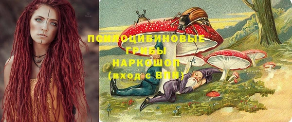дживик Алзамай