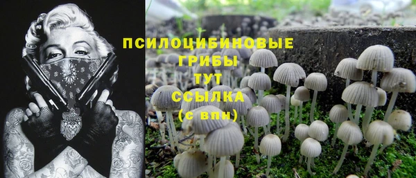 дживик Алзамай